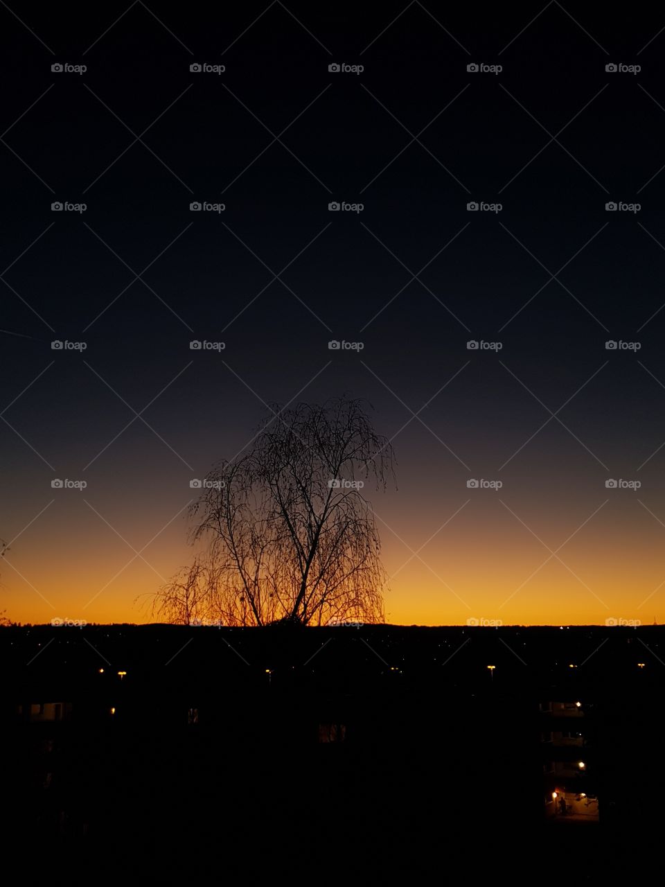 Tannenbusch Bonn Sonnenuntergang