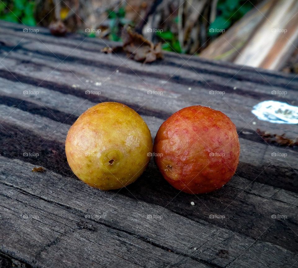 Small fruits.