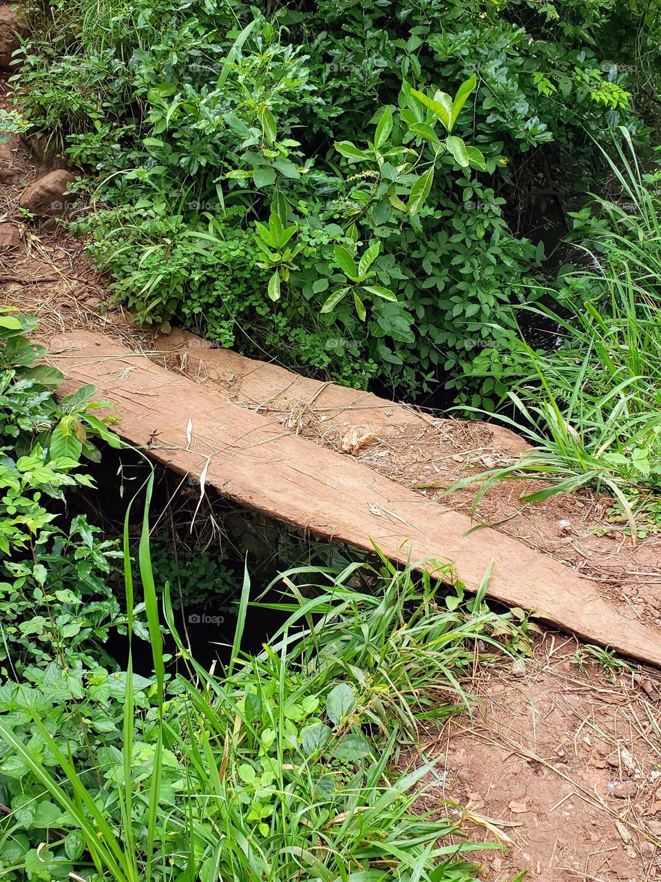 Local bridge at Moshi Rural, near the river Wona as you cross Mneso bridge coming to Marangu.

June 15, 2023
09:45am