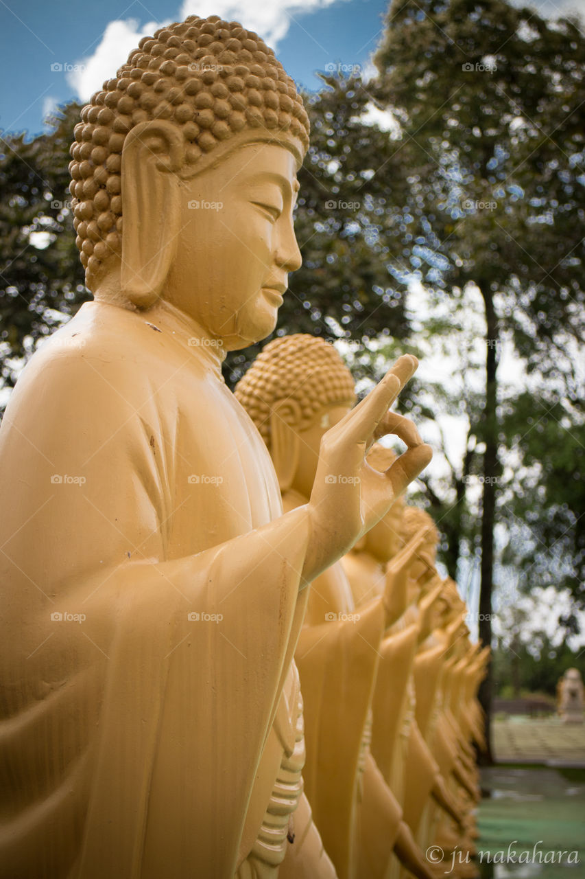 Buddhist statues outside in a row