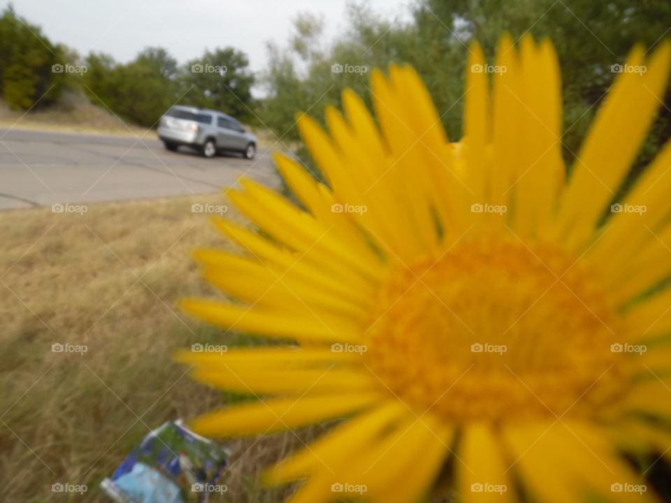 there he went. I saw this car passing when I was taking this picture. 👣 🚶 🏃 🔥 💨