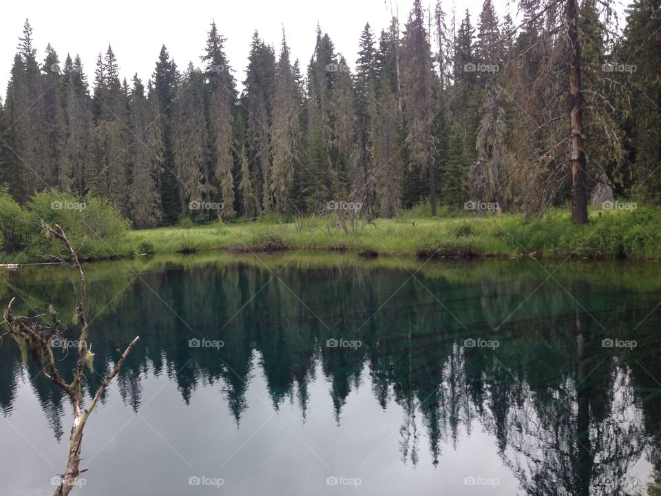 Beautiful reflection 