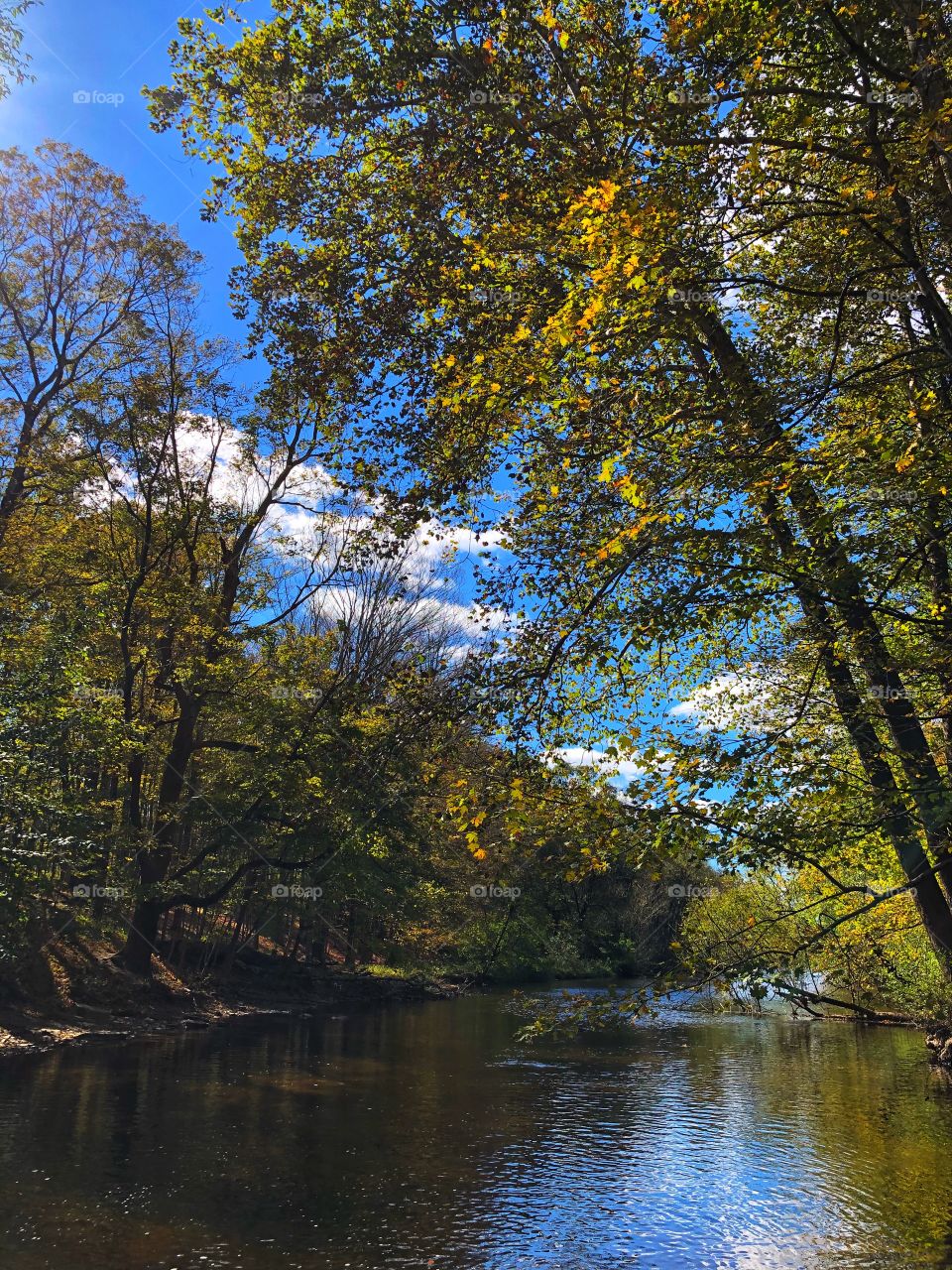 Blue skies and clouds over the creek