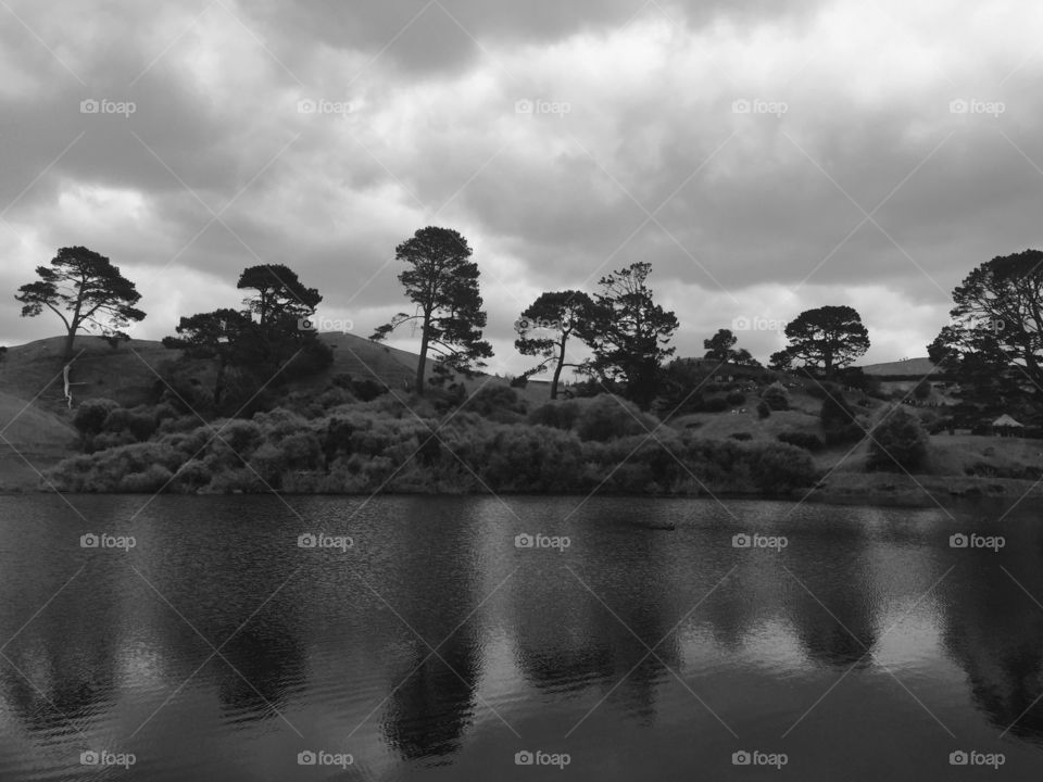 River reflections 