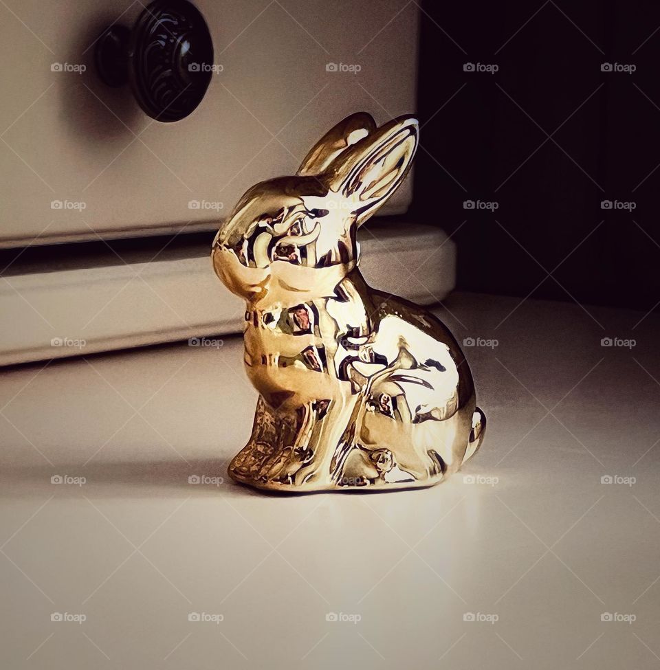 Gold rabbit 