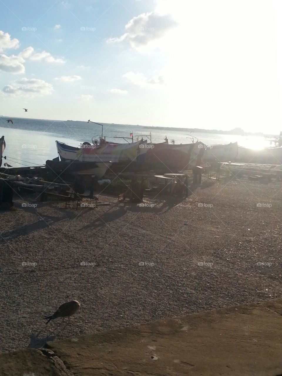 Beautiful old boats on the beach