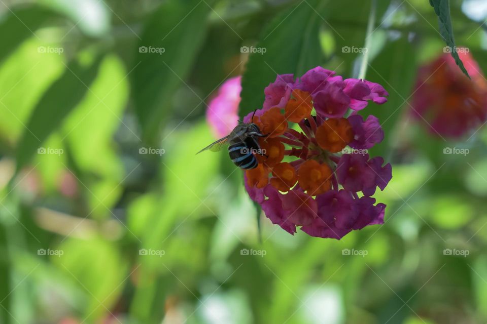 Editor’s choice. Photo of the week 