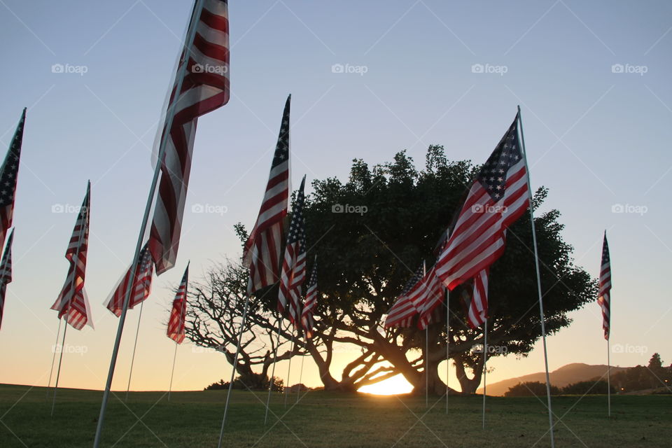 Southern California Sunset and a sea of flags