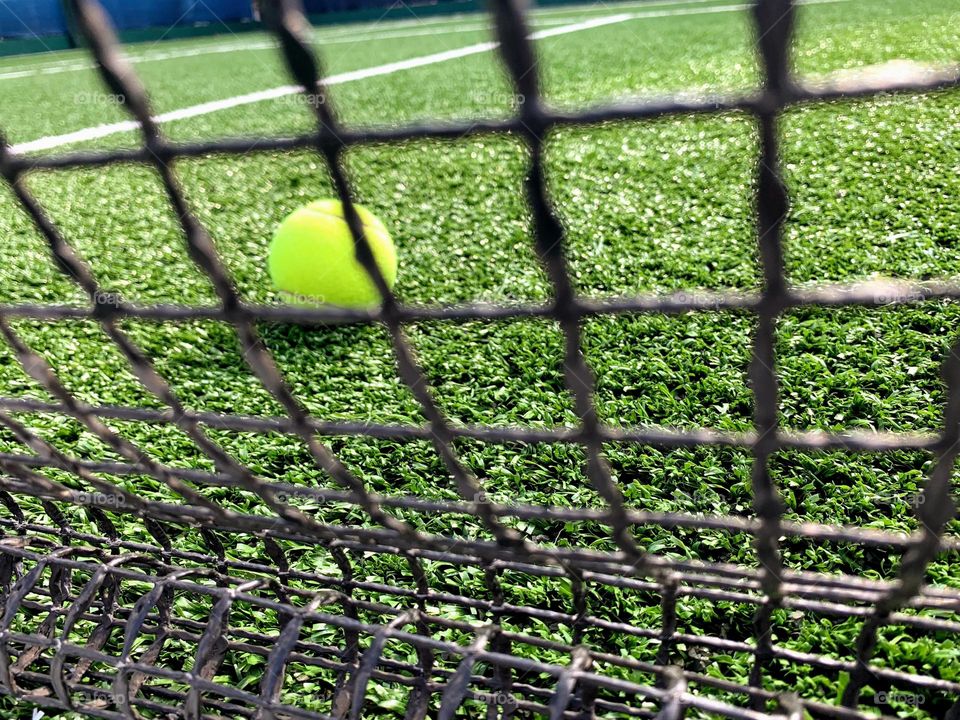 Tennis ball on grass court