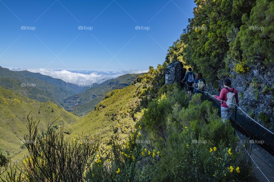 Same people are walking on the green maintains  