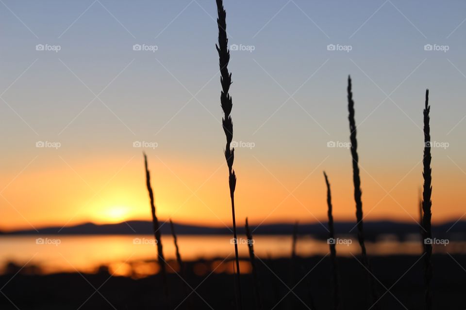 Sunrise on Mono Lake