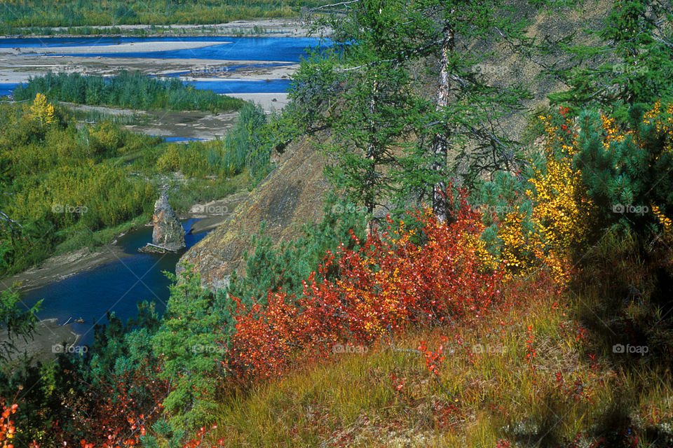 Autumn of Chukotka