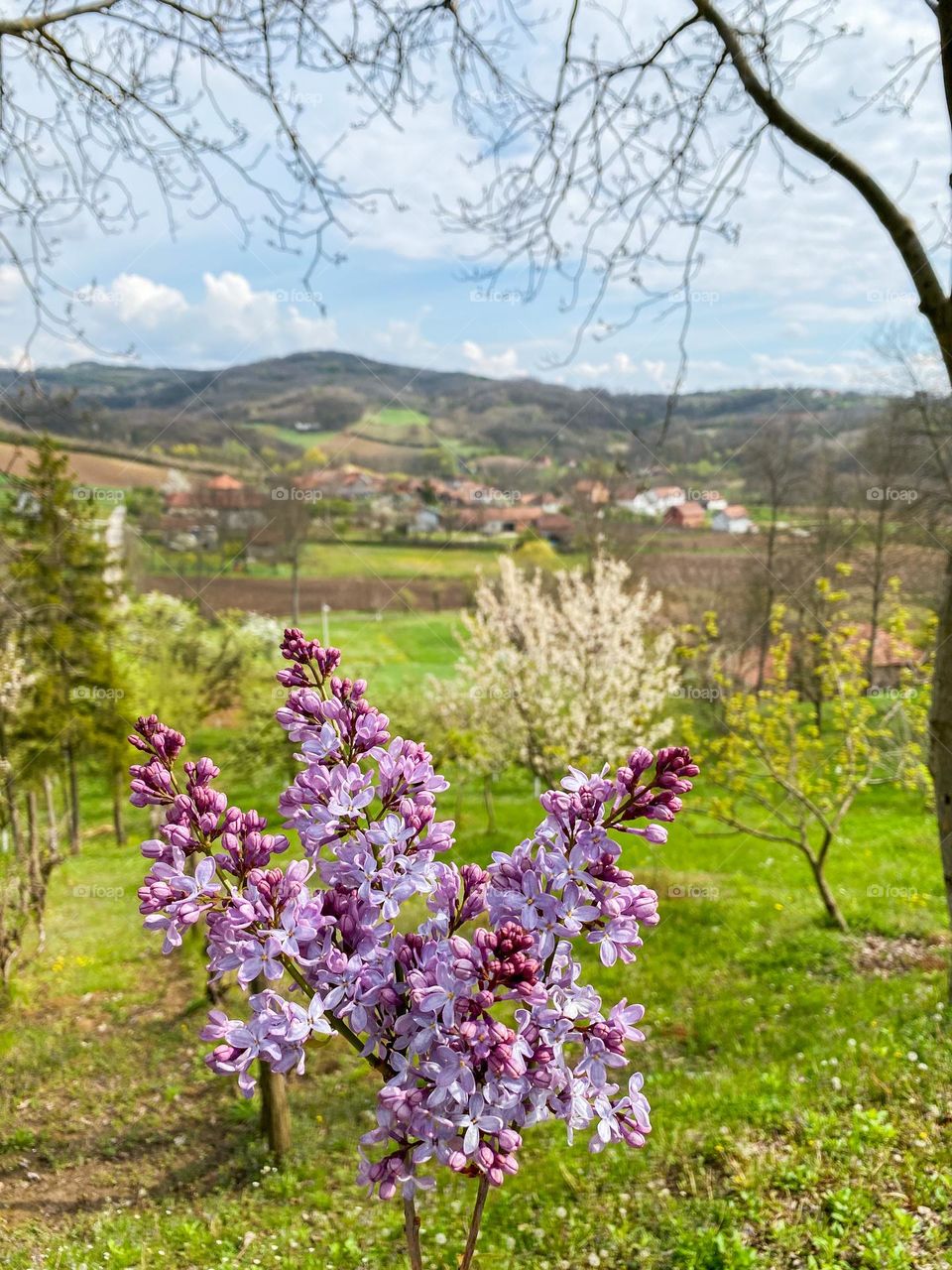 Spring in Serbia ♥️📸🇷🇸