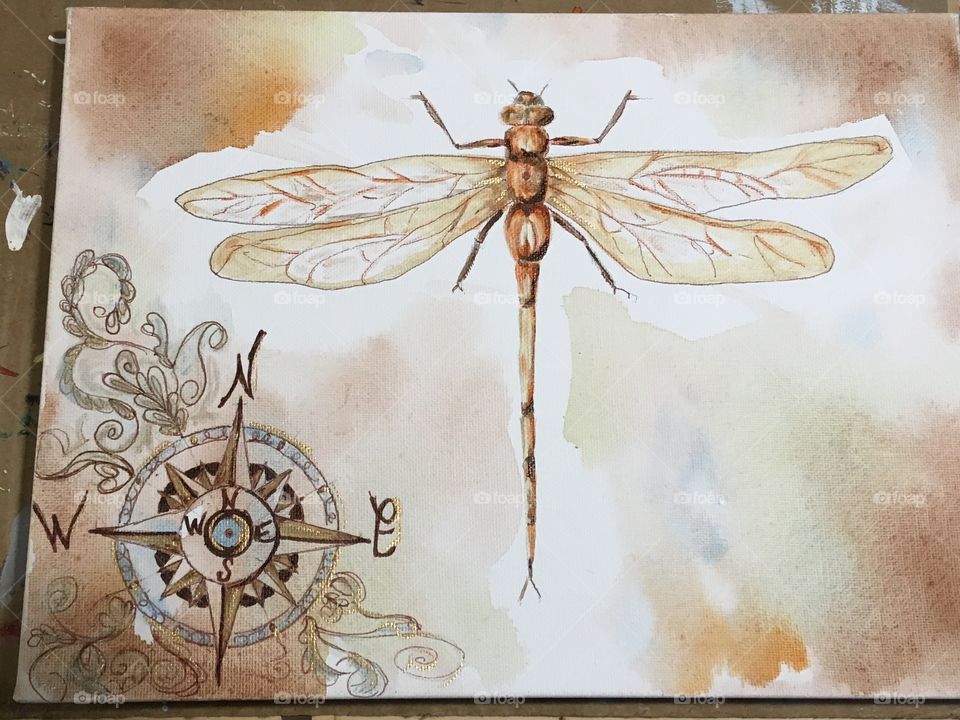 Dragonfly compass