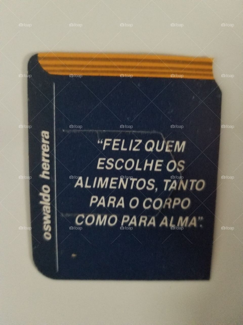 citação