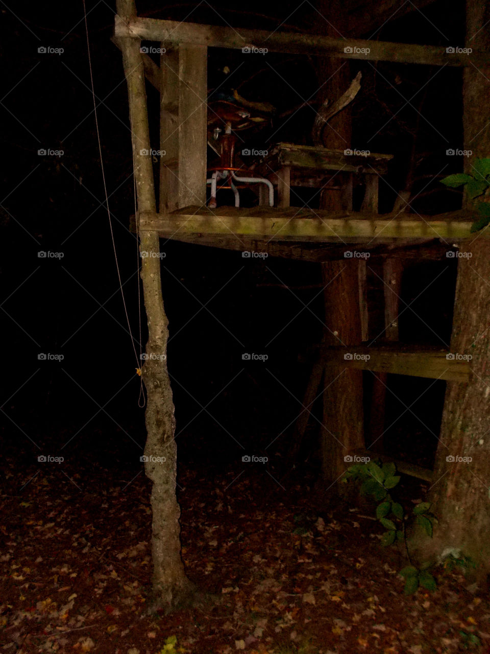 Treehouse in the dark 
