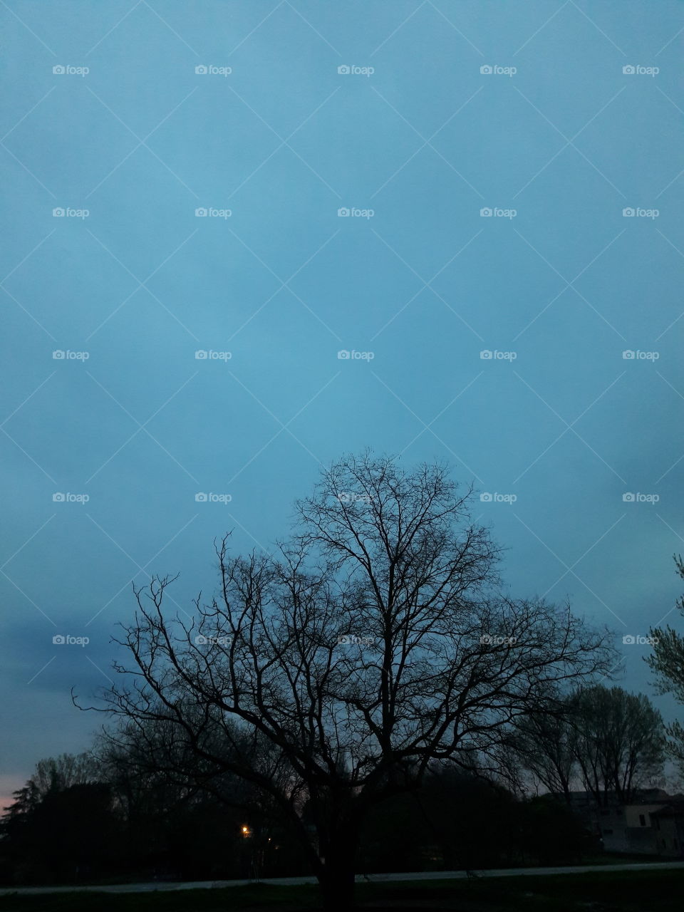 first light first life of the new day