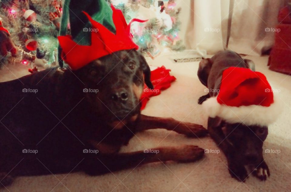 Santa and his helper
