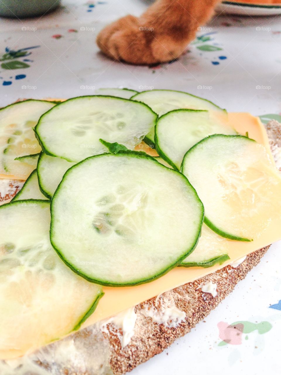 crisp bread sandwich