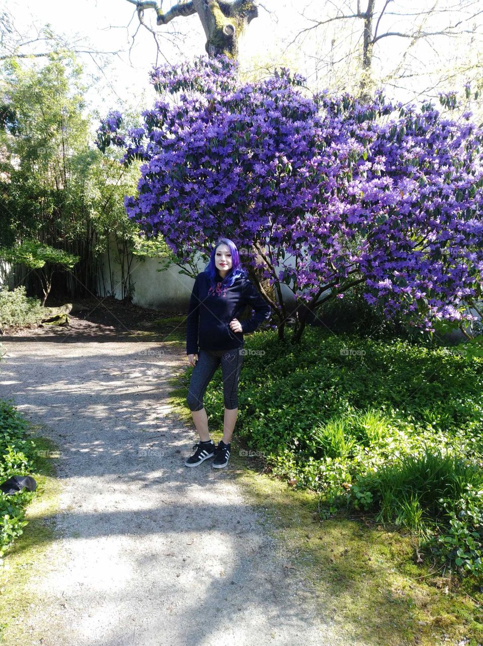 can you spot the difference