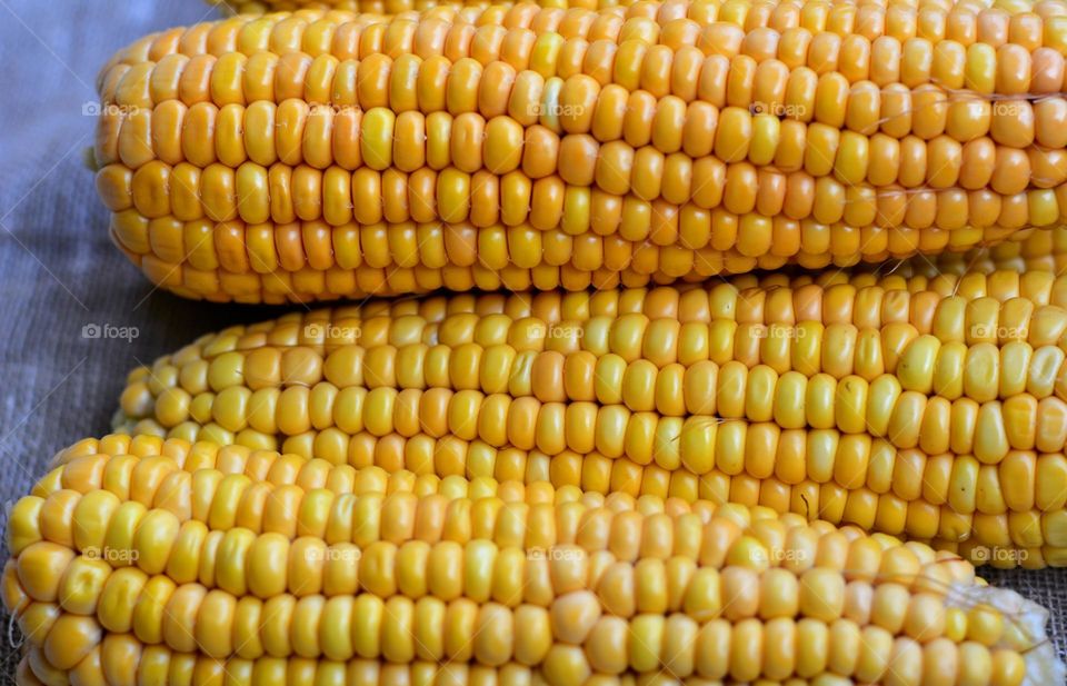 corn beautiful texture background healthy food