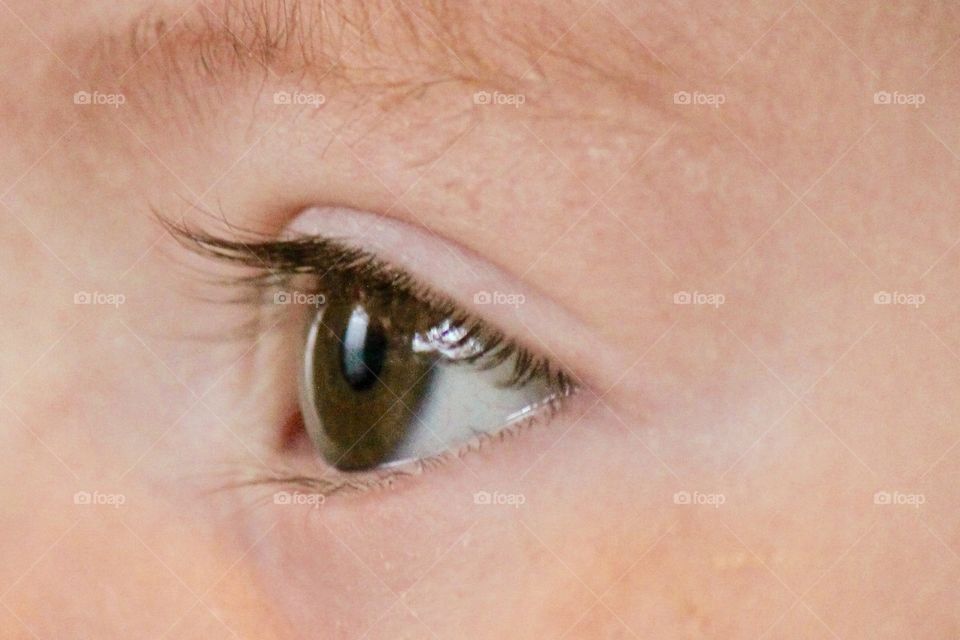 Baby brown eyes