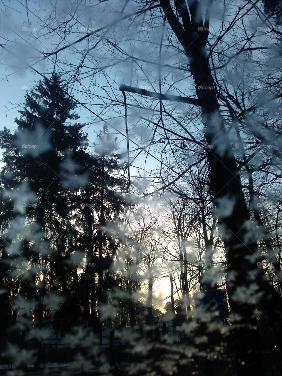 frost painted windshield