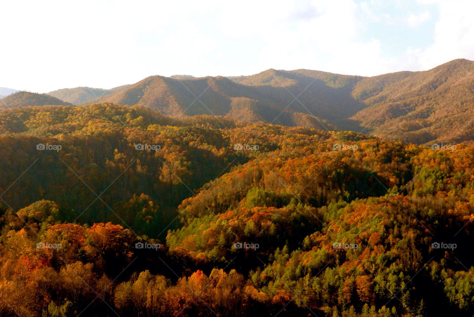 No Person, Landscape, Fall, Mountain, Outdoors