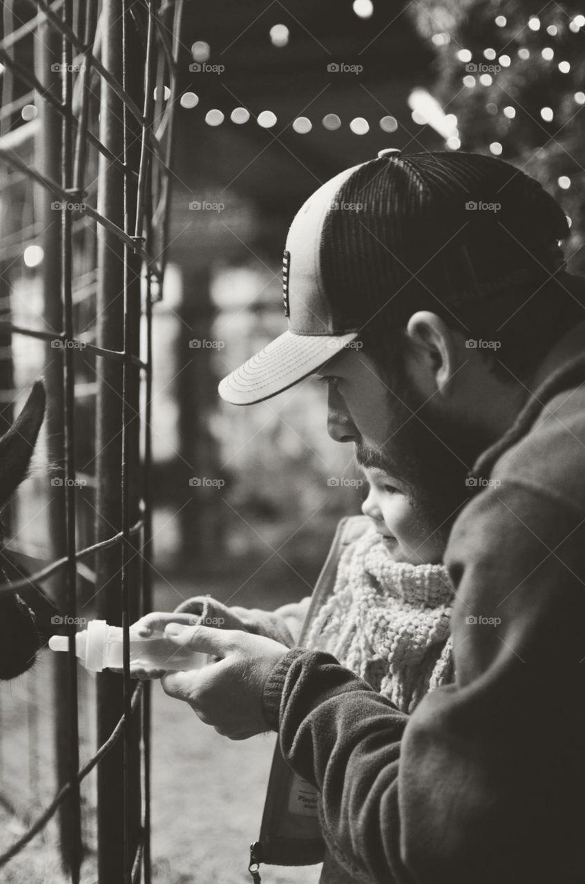 Dad and toddler feeding animals at the zoo 