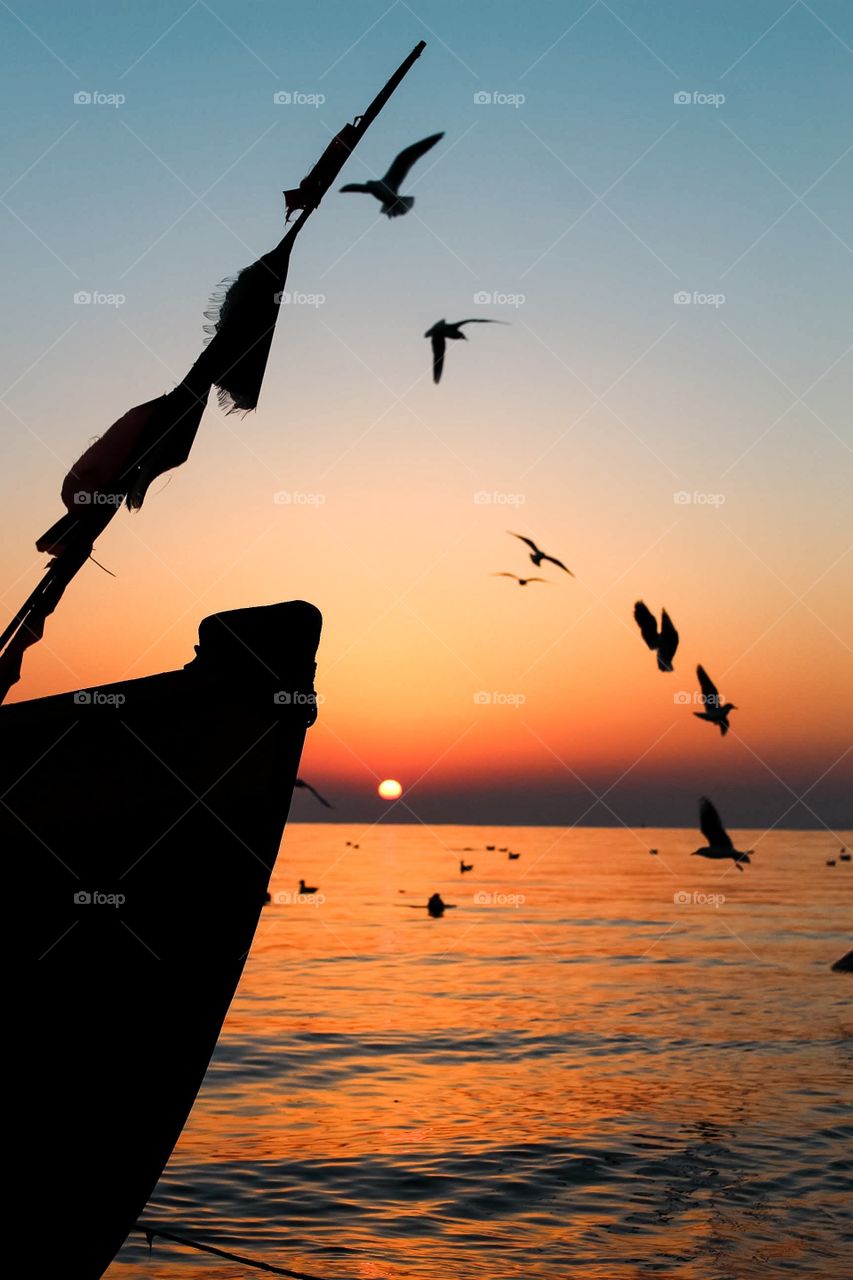 Birds and boats at sunset