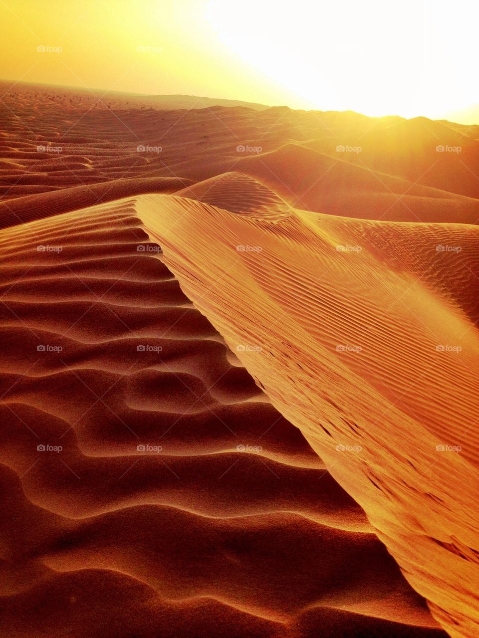 Sunset over sand dunes