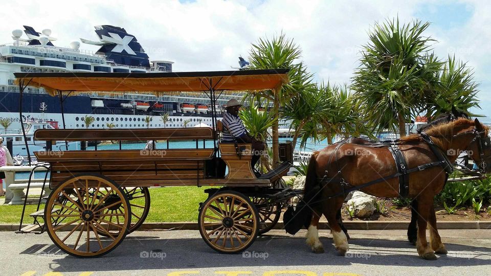 horse drawn carriage, anyone?