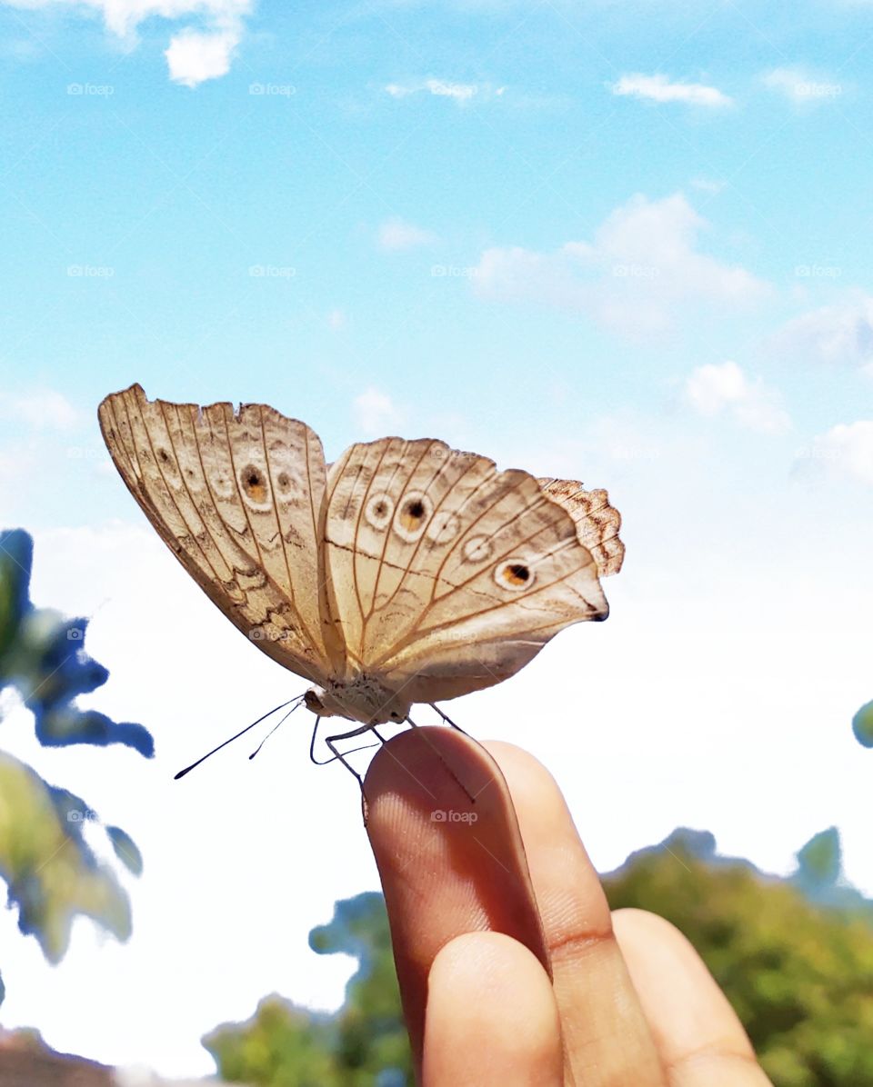 love on fingertip.💞