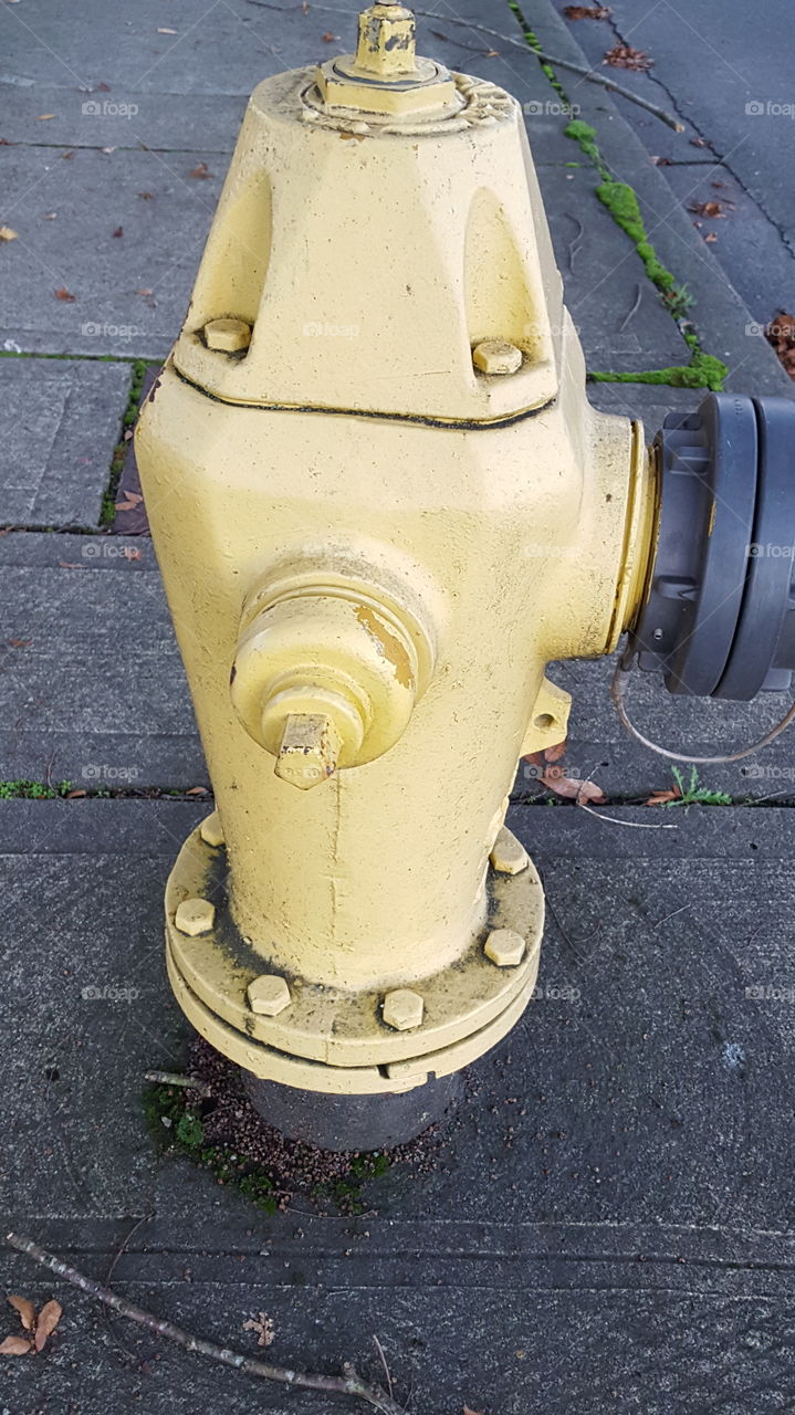 it's a yellow hydrant