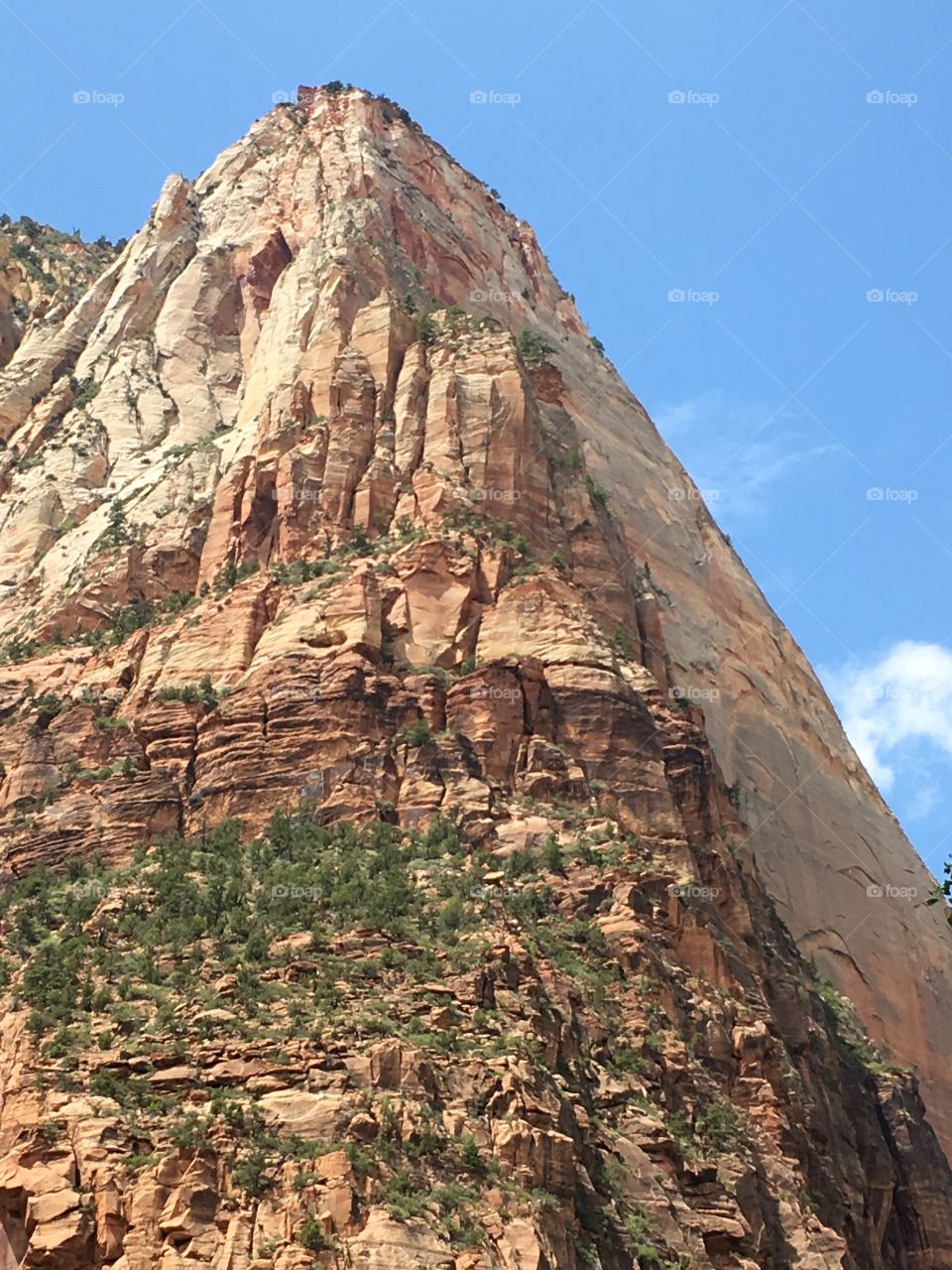 Zion's Cliff