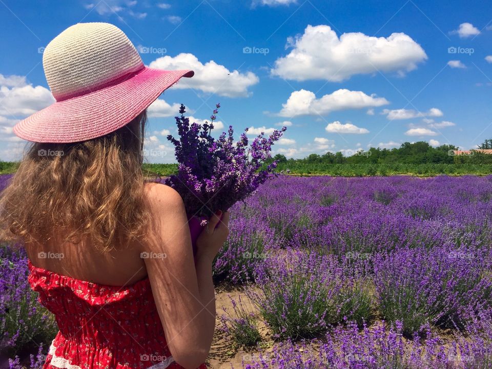 Back of pretty woman holding a bouquet of lavander with view of lavender field ahead