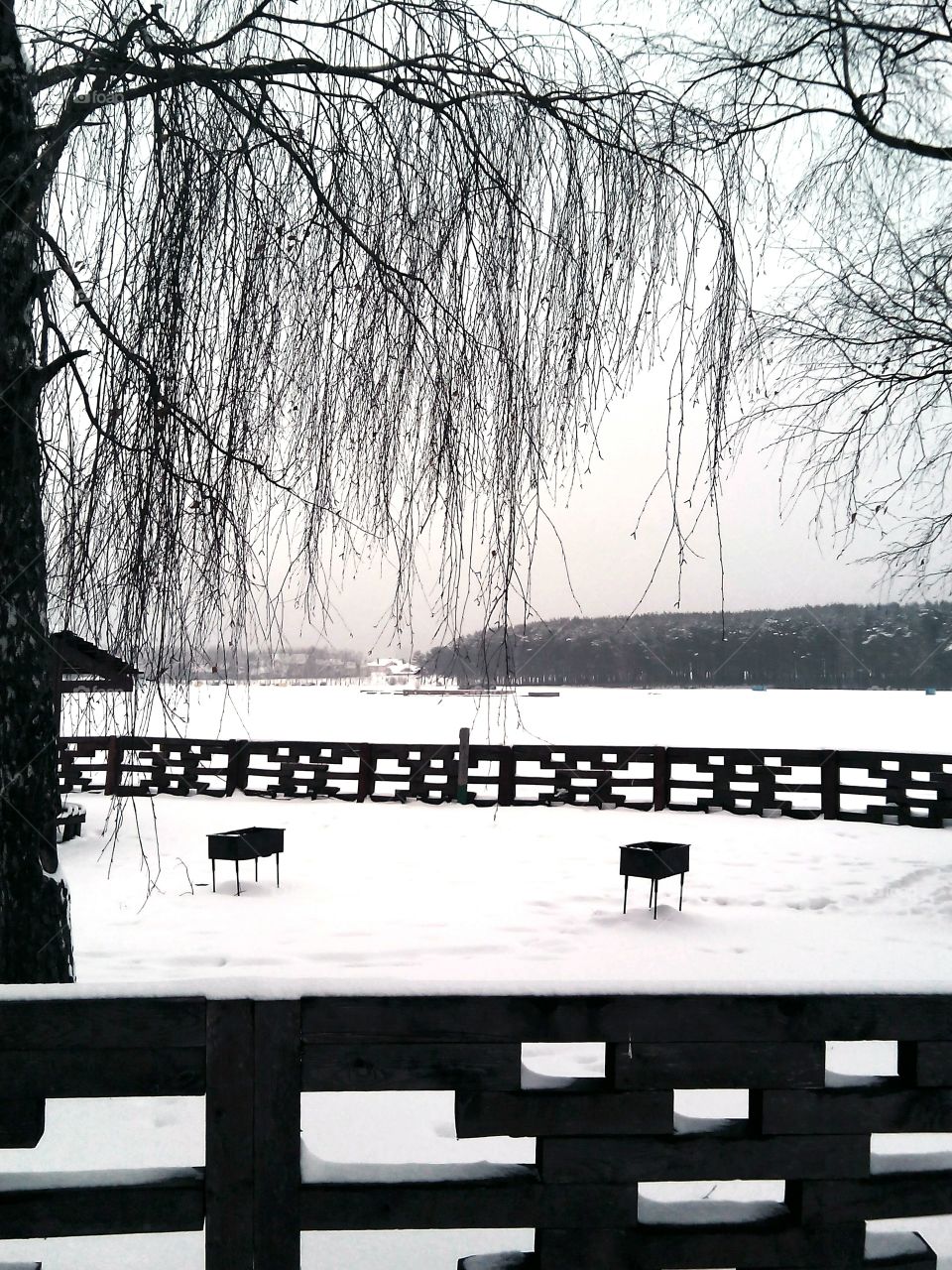 Wood, Winter, Water, Tree, Lake