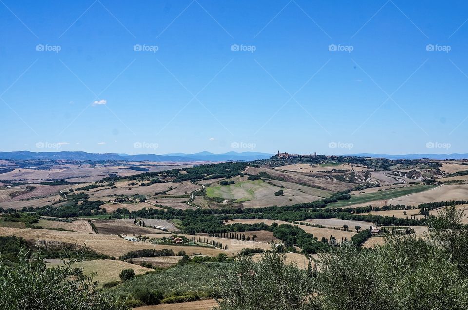 Scenic view of agriculture fields