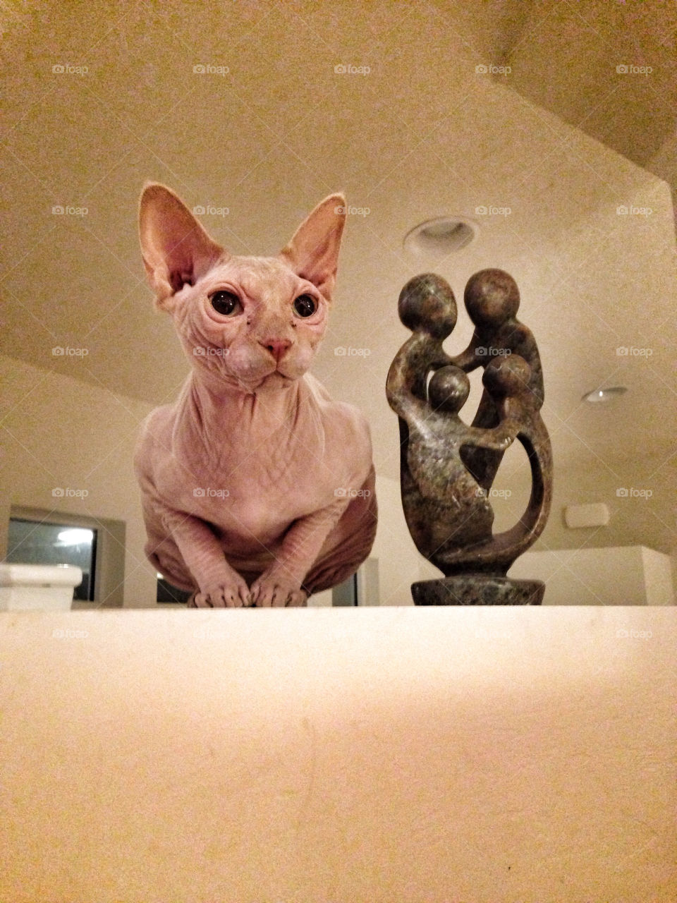 statue cat bald feline by SugarFangs