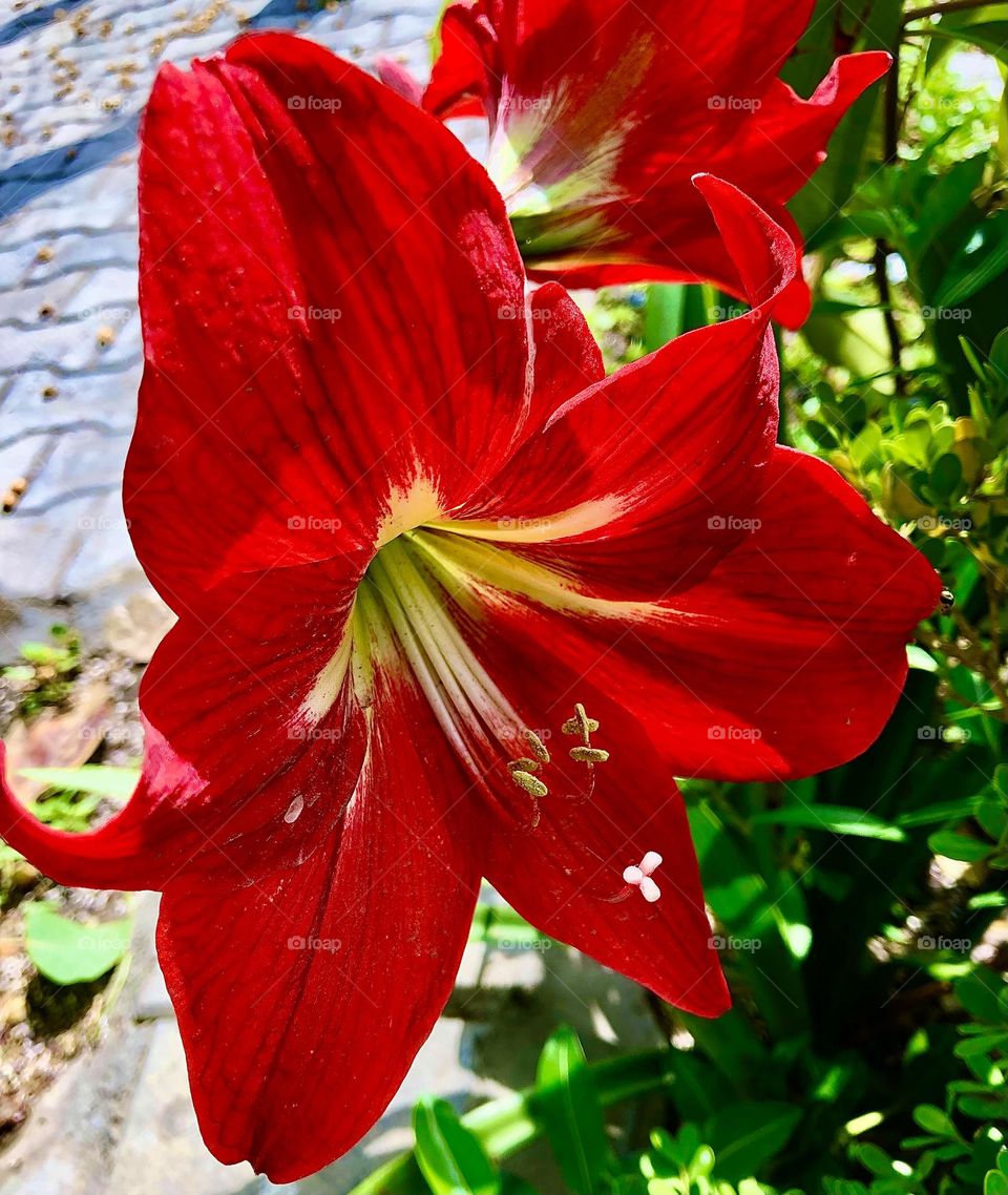 Upload photo of the month March