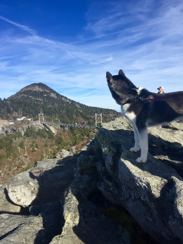 Mile high bridge, North Carolina 