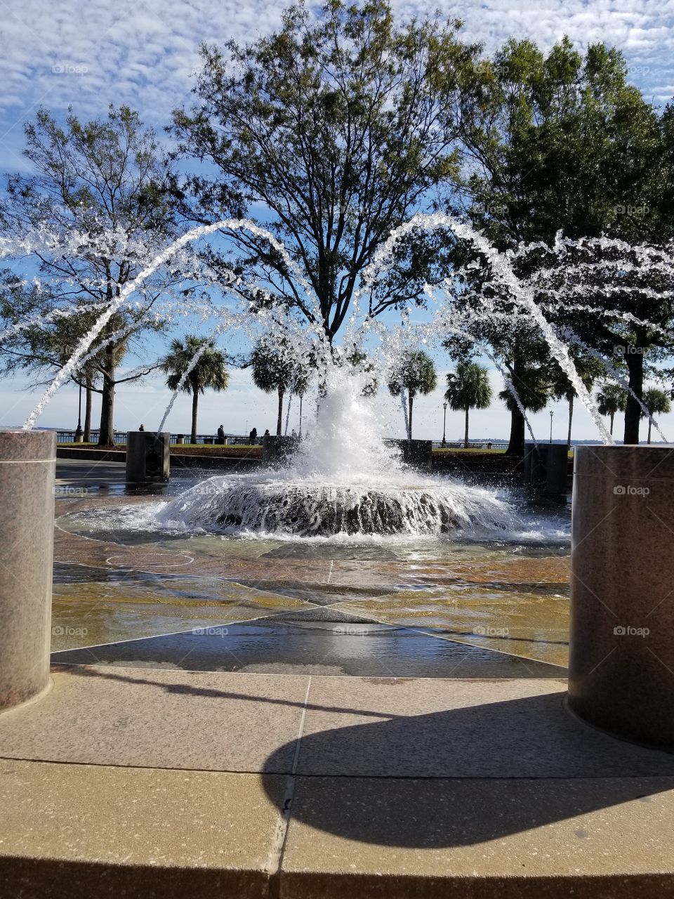 Tree, Water, No Person, Park, Nature