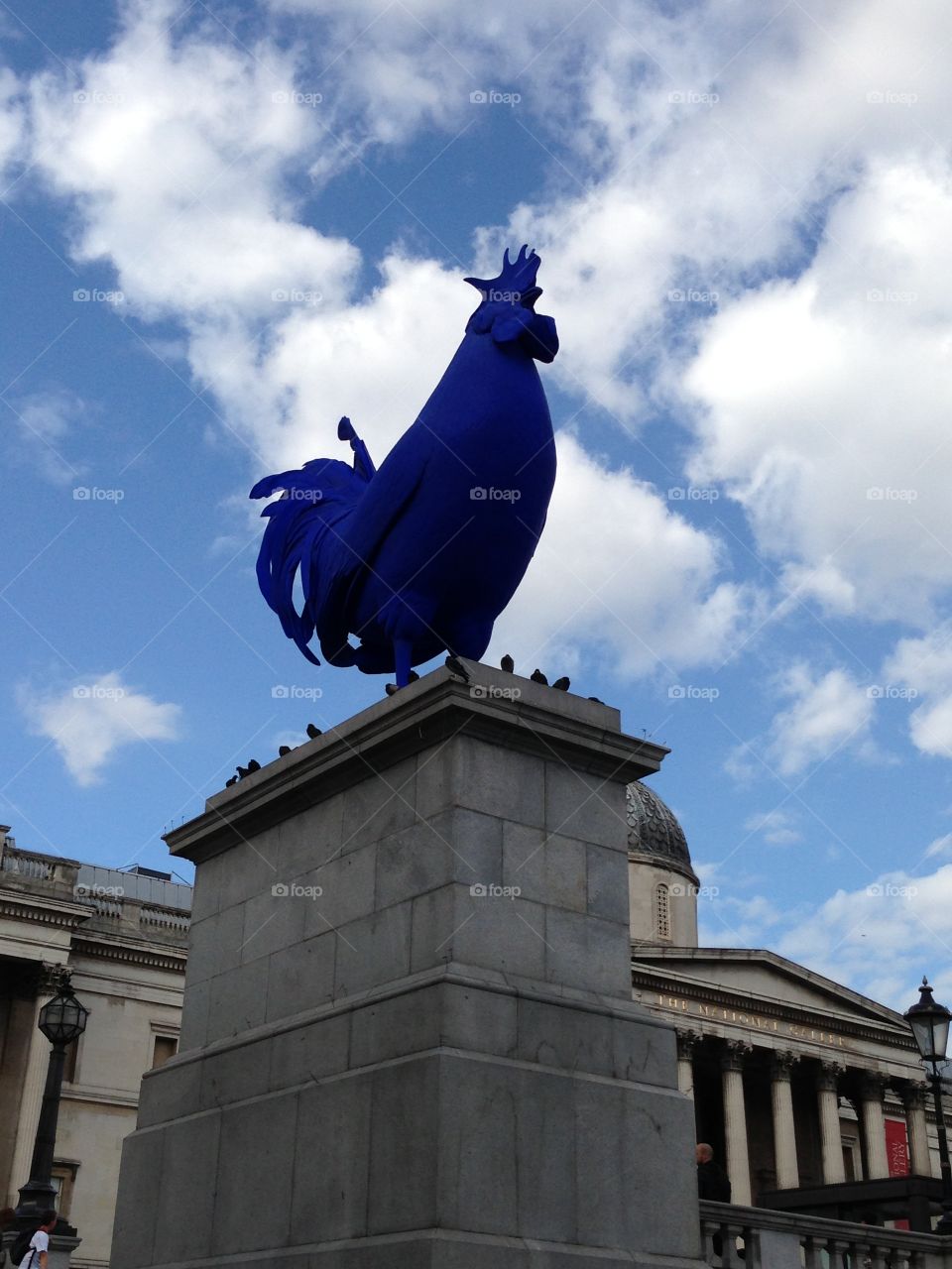 Blue roaster. Blue roaster in Trafalgar Square, London