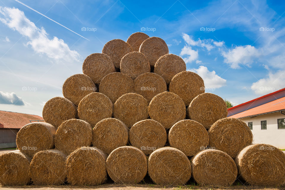 Round shaped bales of hay stacked on top of each forming a piramide on a farm. Hay bales.