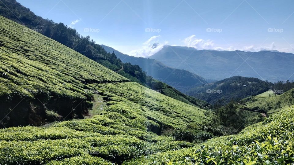 "Nature is pleased with simplicity." 