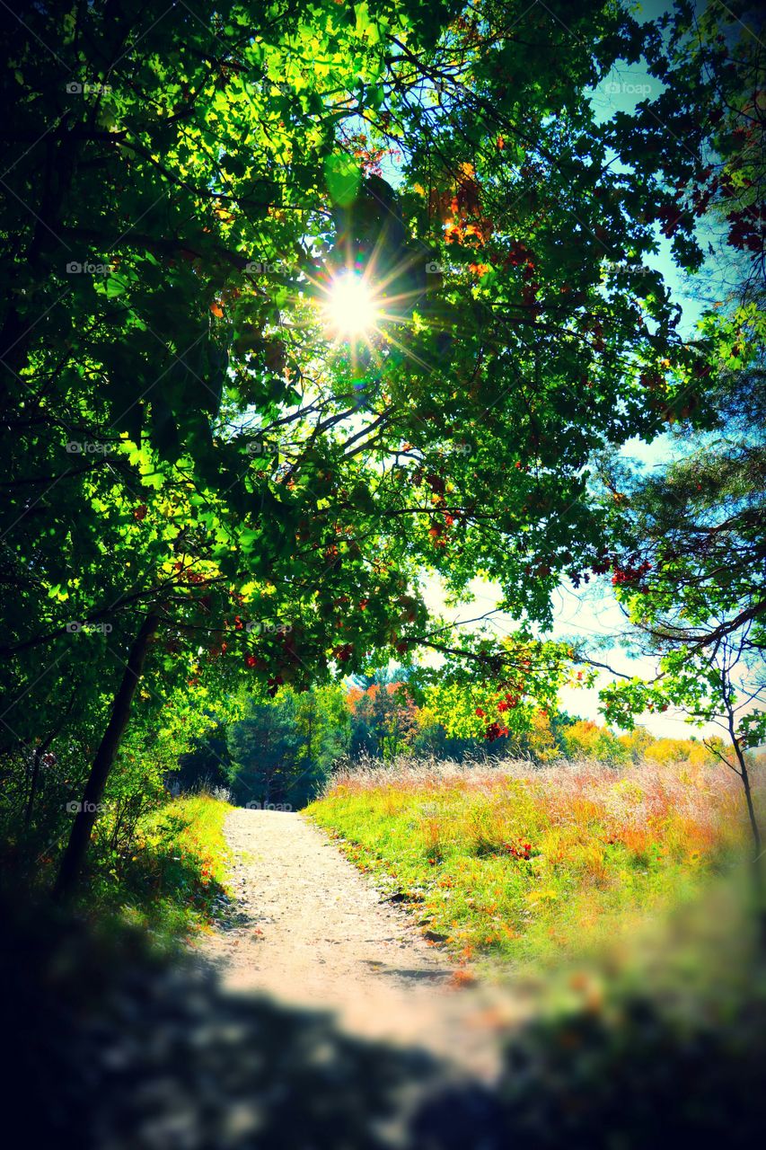 Pure Michigan in the fall