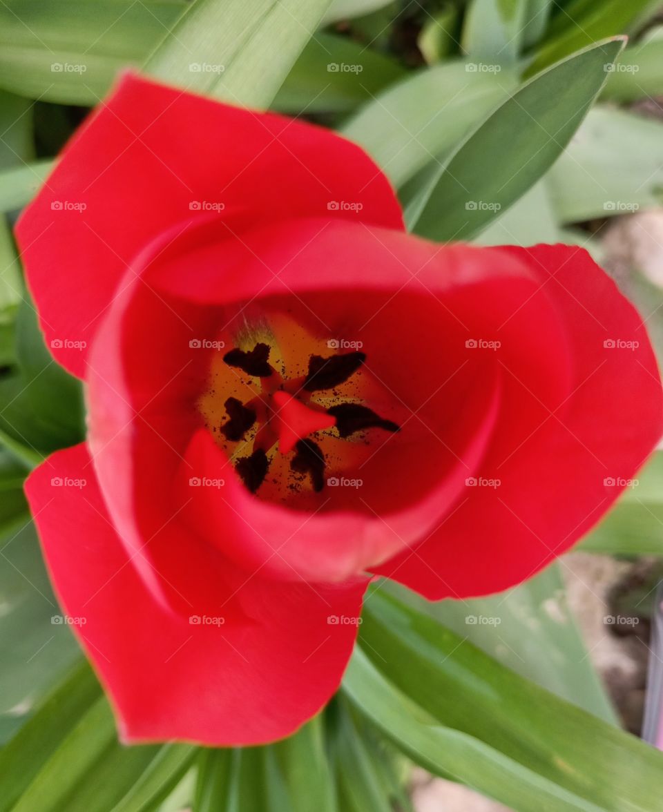 The beauty in nature