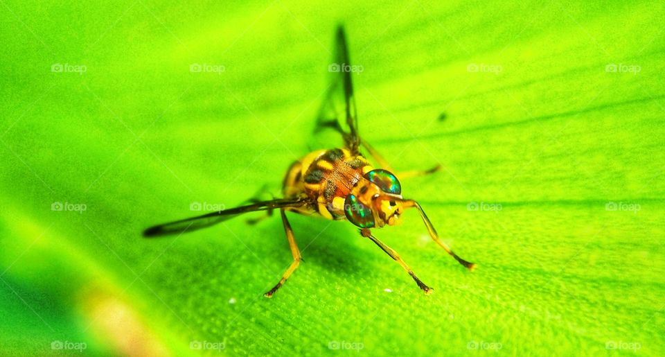 #stunning life in Earth