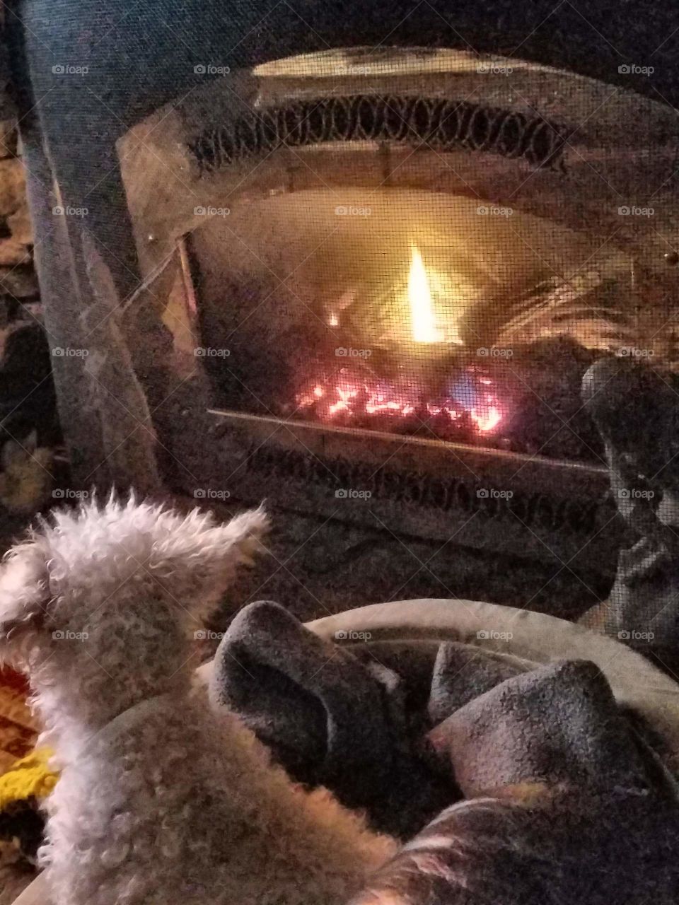 My poodle warming himself in his bed in front of fireplace fire.
