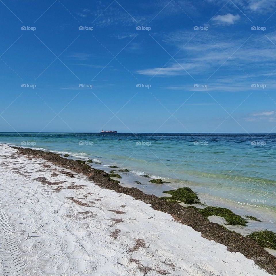 Egmont Key State Park and Wildlife Sanctuary, Florida - October 2021